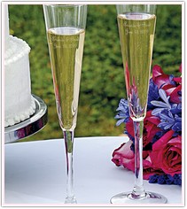 Modern Flare Toasting Flute