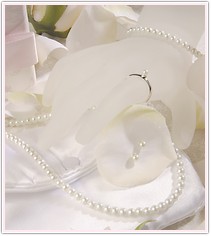 Flower Girl Pearl Jewelry Set With Purse