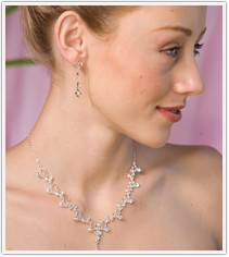 Sophistacated Drop Necklace & Earrings