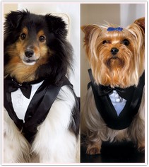 Pet Wedding Dog Tuxedo