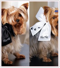 Dog Wedding Attendant Wedding Bow