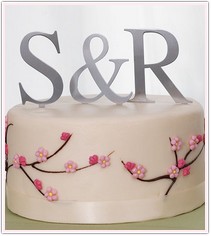 Monogram Cake Toppers Brushed Silver