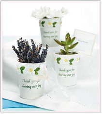 Mini Flower Pots
