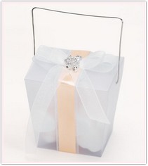 Asian Take Out Frosted Favor Boxes